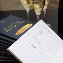 Guide du Vin de Champagne avec Conseils de Dégustation et lexique du Vin de Champagne