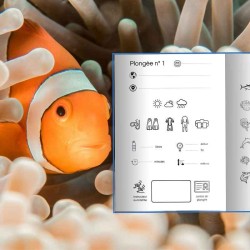 Carnet de Plongée pour Enfant ou Jeune Plongeur : carnet illustré agréable à remplir