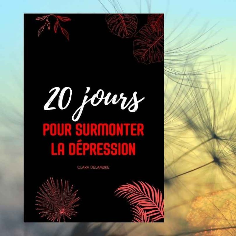 vaincre la dépression , stop à la déprime , livre sur la dépression , maîtriser ses émotions vaincre la dépression , stop à la déprime , livre sur la dépression , maîtriser ses émotions