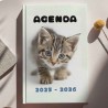 Agenda Chat