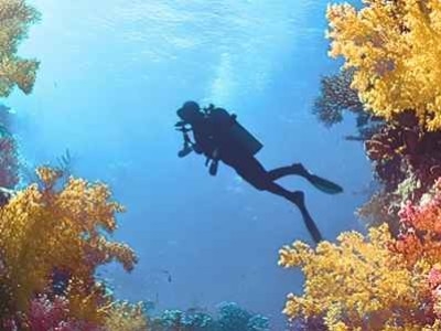 Comment progresser en plongée